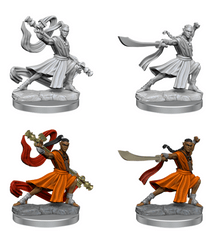 DND FRAMEWORKS: ELF MONK MALE